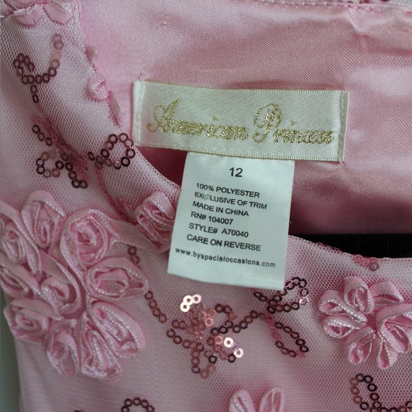 American Princess Pink Embroidered Dress - Picture 7 of 10